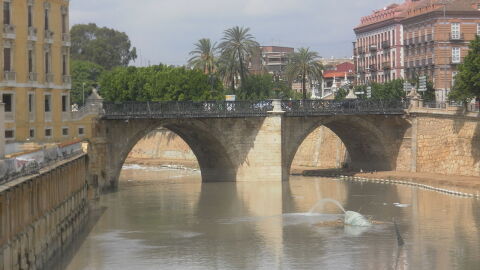 Río Segura