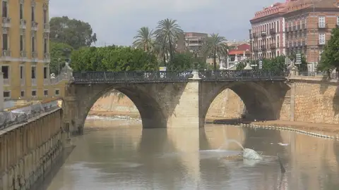 Río Segura Río Segura