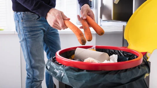 Cubo de la basura Cubo de la basura