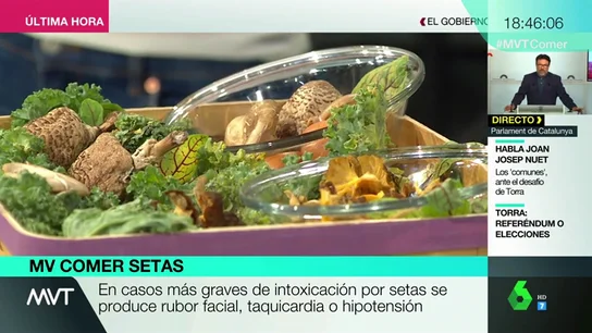 Vómitos, dolor abdominal, taquicardias... Luis A. Zamora descubre cómo identificar una intoxicación por ingesta de setas Vómitos, dolor abdominal, taquicardias... Luis A. Zamora descubre cómo identificar una intoxicación por ingesta de setas