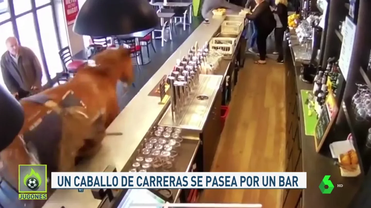 Caballo_Jugones Caballo_Jugones