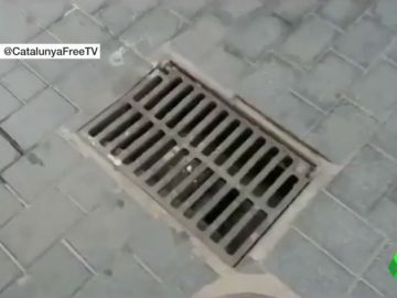 CLOACA CLOACA