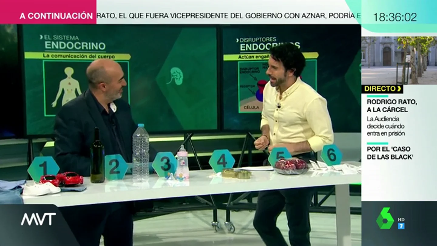 Posibilidad de padecer cáncer, diabetes, infertilidad... ¿qué son y cómo nos afectan los disruptones endocrinos? Posibilidad de padecer cáncer, diabetes, infertilidad... ¿qué son y cómo nos afectan los disruptones endocrinos?