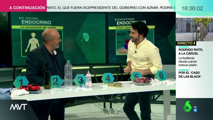 Posibilidad de padecer cáncer, diabetes, infertilidad... ¿qué son y cómo nos afectan los disruptones endocrinos?