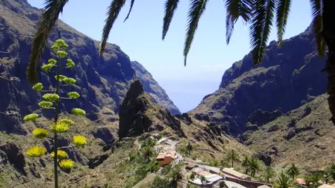 Tenerife Tenerife