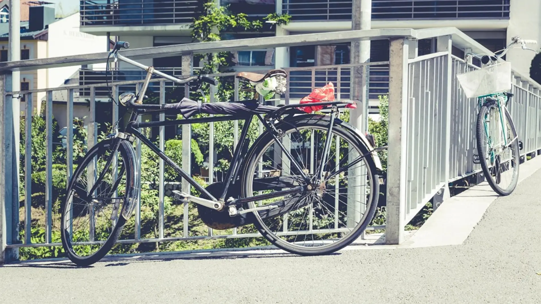 Holanda en Bicicleta