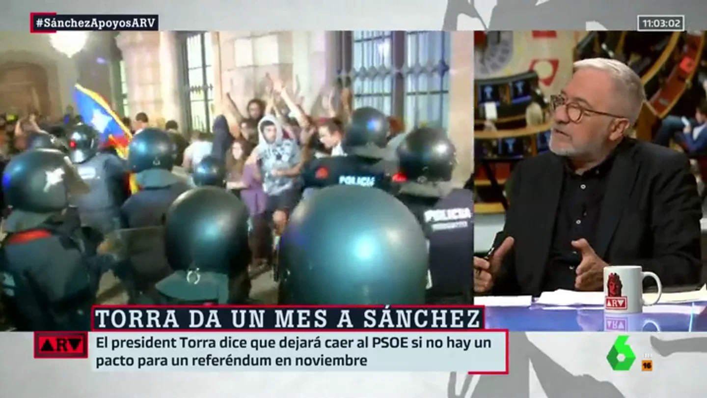 sarda sarda