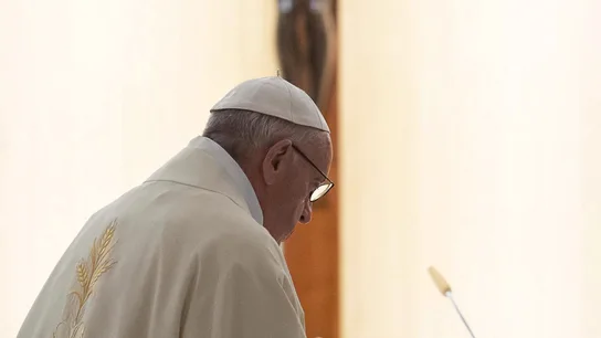 El papa Francisco pronuncia su homilía El papa Francisco pronuncia su homilía