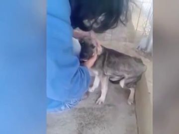 Imagen de una mujer acariciando a un perro antes de adoptarlo