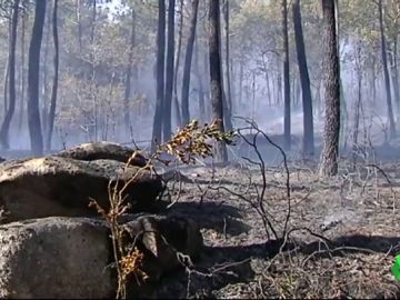 QUEJAS POR LOS INCENDIOS QUEJAS POR LOS INCENDIOS
