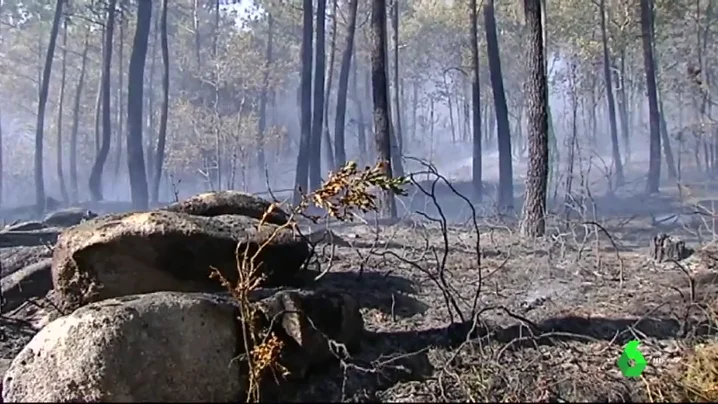 QUEJAS POR LOS INCENDIOS