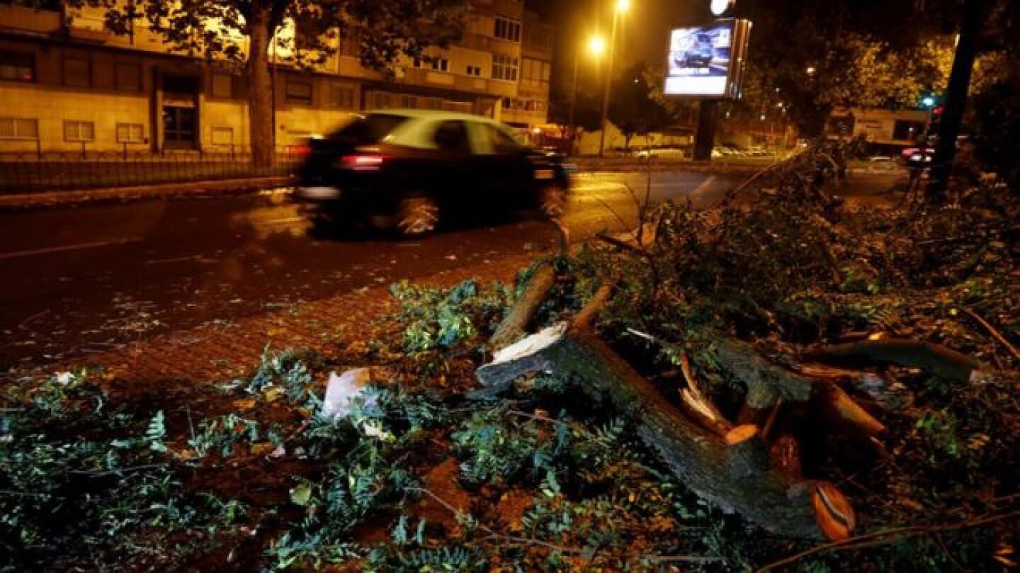 &Aacute;rboles ca&iacute;dos por el paso de Leslie en Portugal