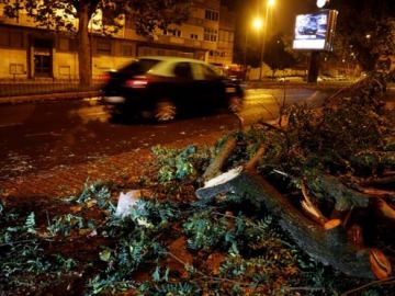 Árboles caídos por el paso de Leslie en Portugal Árboles caídos por el paso de Leslie en Portugal
