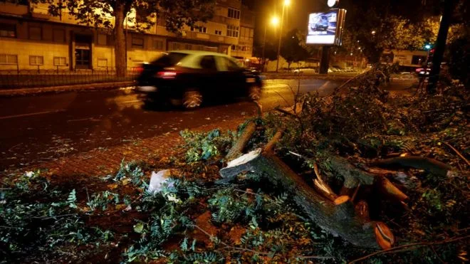 Árboles caídos por el paso de Leslie en Portugal