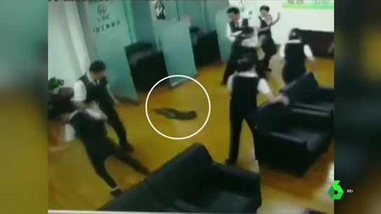 Imagen de la pitón gigante que ha irrumpido en un banco en China Imagen de la pitón gigante que ha irrumpido en un banco en China
