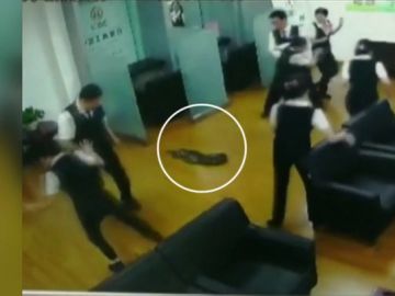 Imagen de la pitón gigante que ha irrumpido en un banco en China Imagen de la pitón gigante que ha irrumpido en un banco en China
