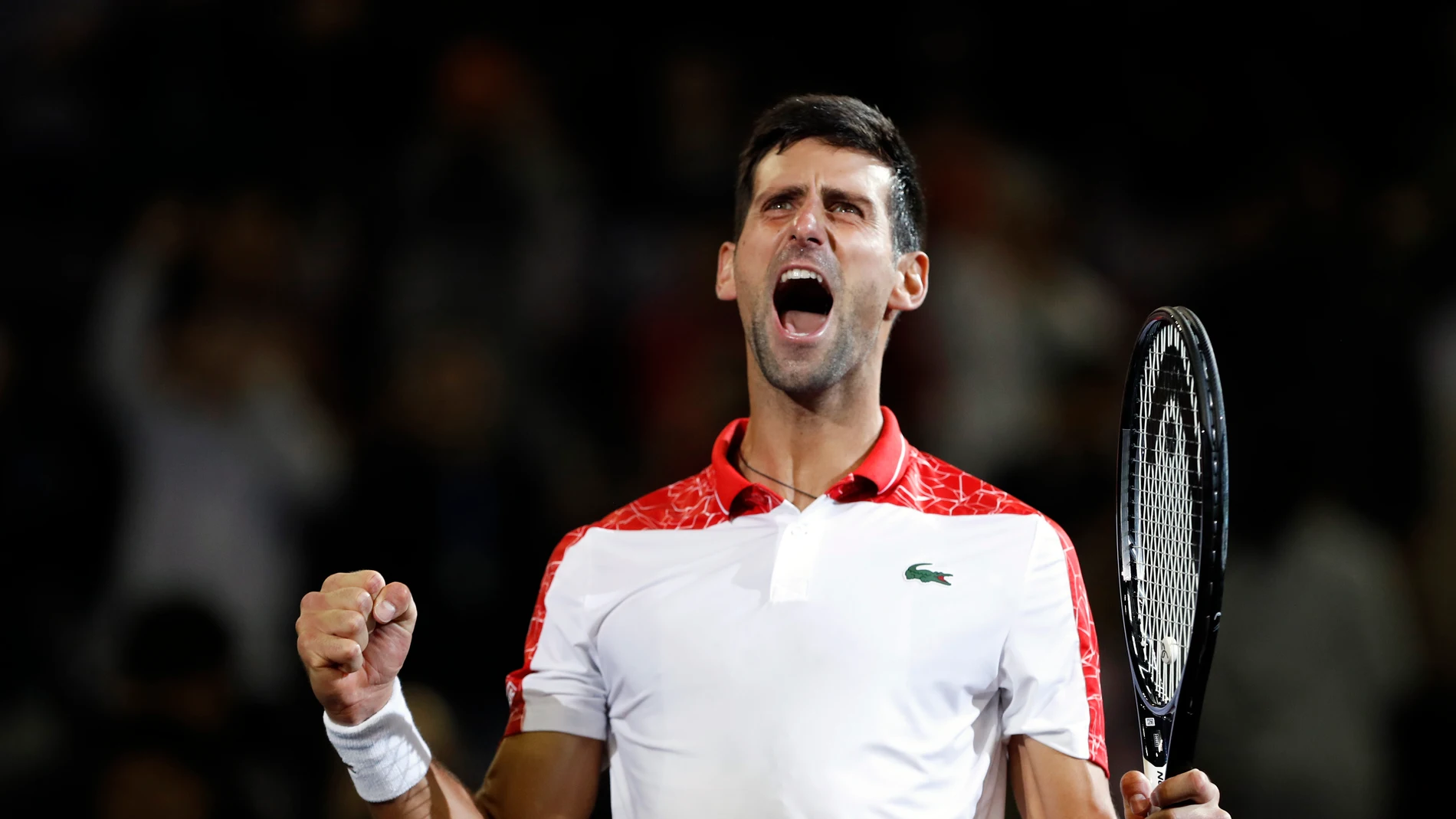 Novak Djokovic celebra su triunfo