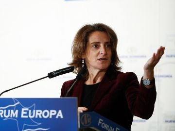 La ministra de Transición Ecológica, Teresa Ribera La ministra de Transición Ecológica, Teresa Ribera