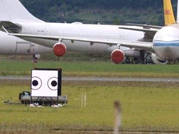 Los ojos que salvan la vida de pájaros y pasajeros: así lucha Francia contra el 'birdstrike' (y está siendo un éxito)