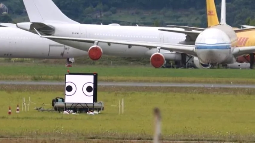 Los ojos que salvan la vida de pájaros y pasajeros: así lucha Francia contra el 'birdstrike' (y está siendo un éxito)