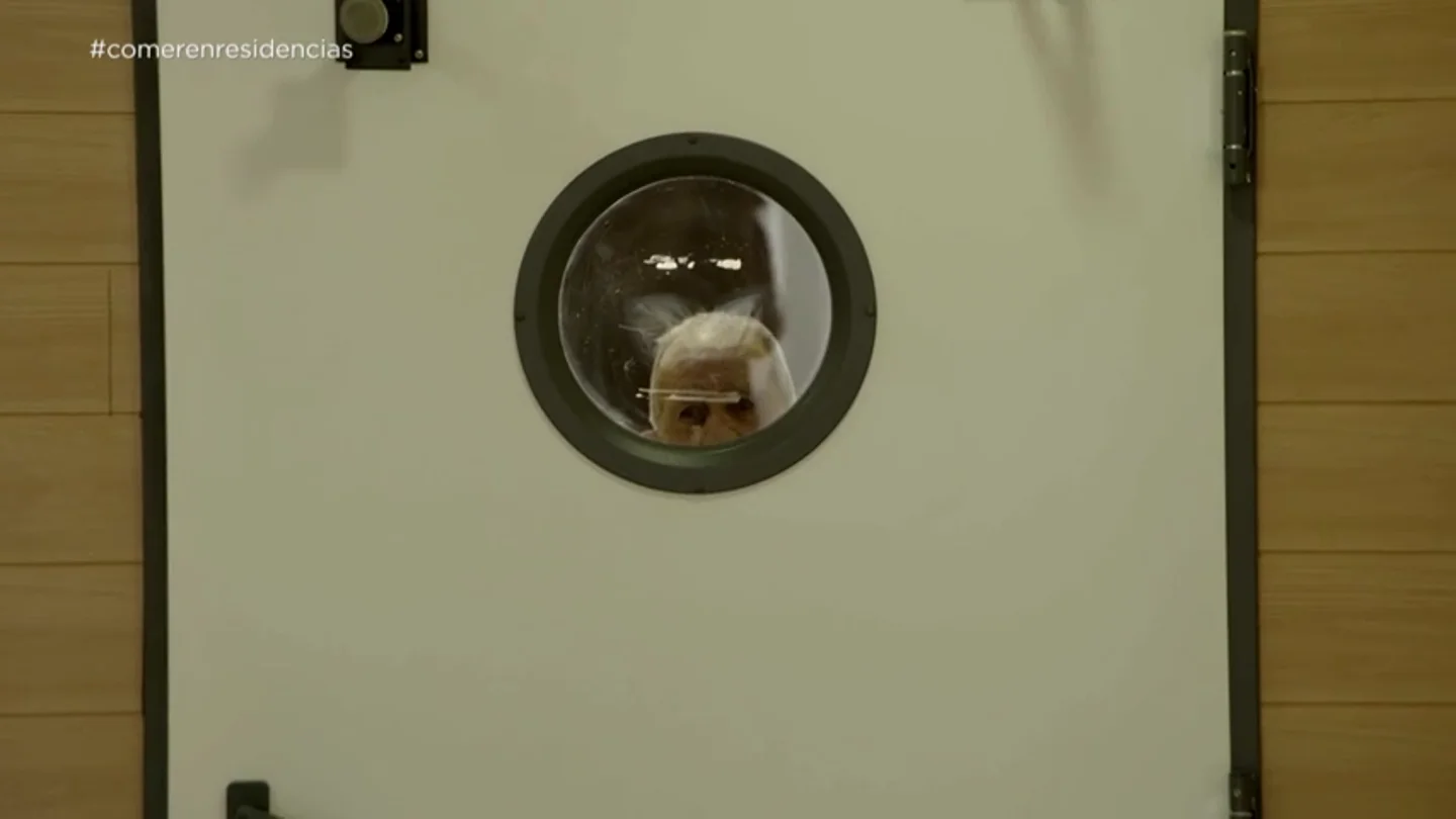La reacción de Chicote al ver mal envasada la comida de una residencia La reacción de Chicote al ver mal envasada la comida de una residencia