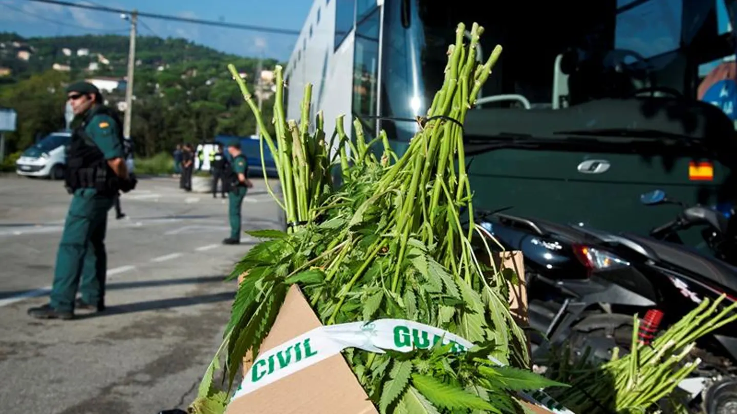 Una caja de marihuana incautada por la Guardia Civil Una caja de marihuana incautada por la Guardia Civil