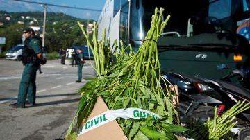 Una caja de marihuana incautada por la Guardia Civil