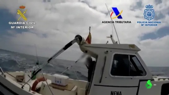 narcos detenidos narcos detenidos