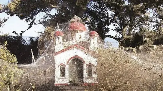 Parte de la gran telaraña que cubre parte de la ribera de un pueblo junto al lago Vistonida Parte de la gran telaraña que cubre parte de la ribera de un pueblo junto al lago Vistonida