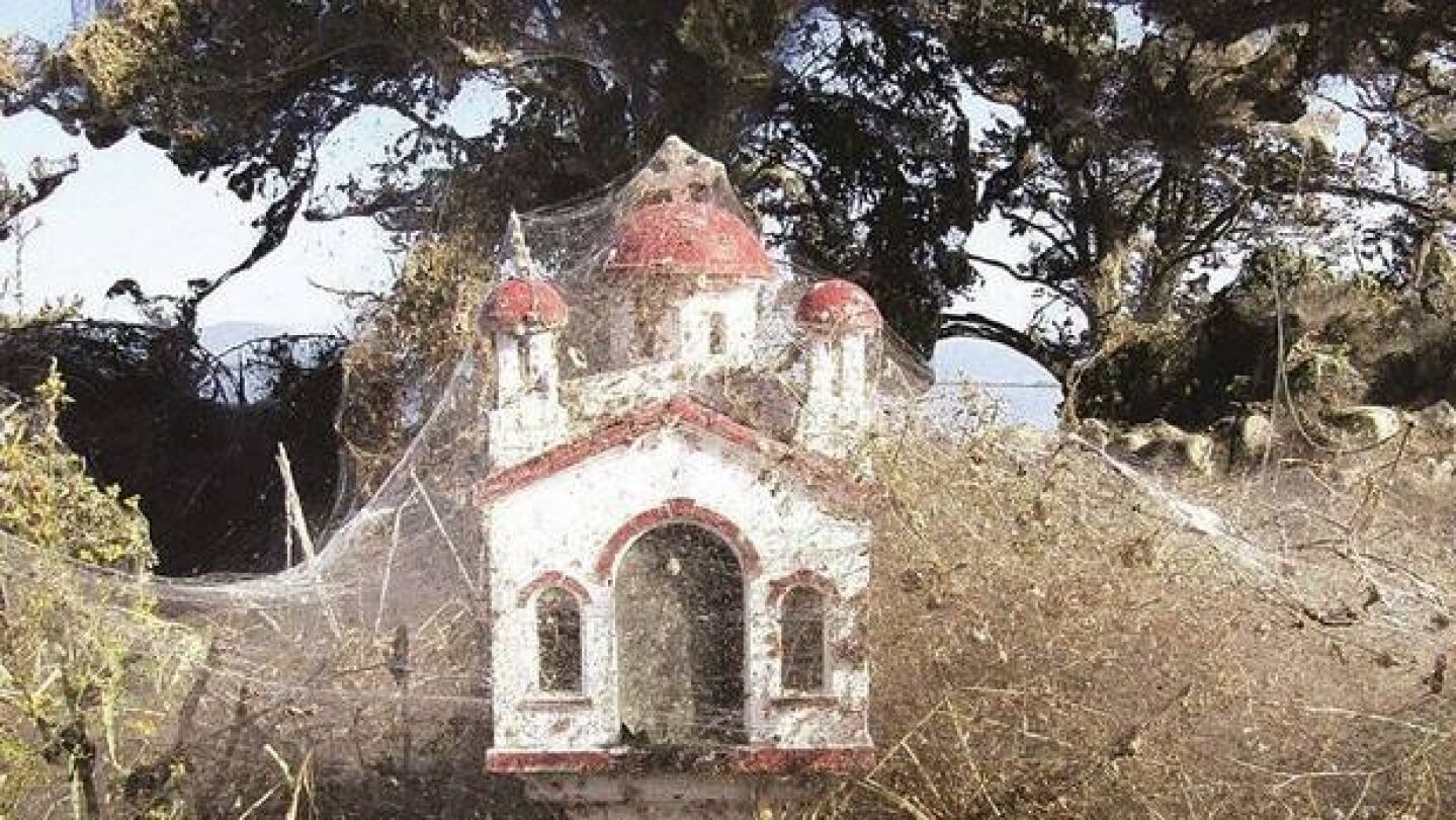 Parte de la gran telara&ntilde;a que cubre parte de la ribera de un pueblo junto al lago Vistonida
