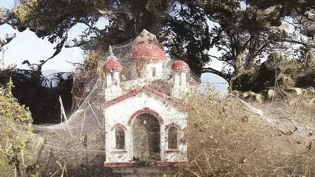 Parte de la gran telaraña que cubre parte de la ribera de un pueblo junto al lago Vistonida