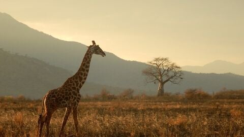 Tanzania