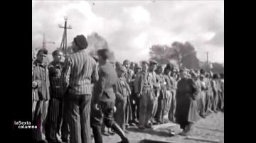 "Durante mis sueños, sigo en Mauthausen": Españoles en la segunda guerra mundial, los combatientes olvidados