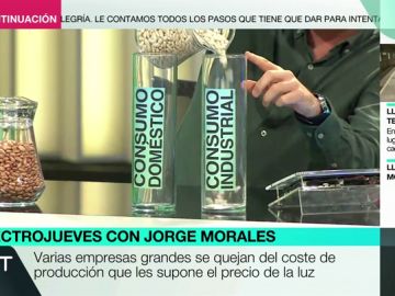 Consumidor doméstico, industrias o empresas: ¿a quién afecta más las subidas en el mercado eléctrico? Consumidor doméstico, industrias o empresas: ¿a quién afecta más las subidas en el mercado eléctrico?