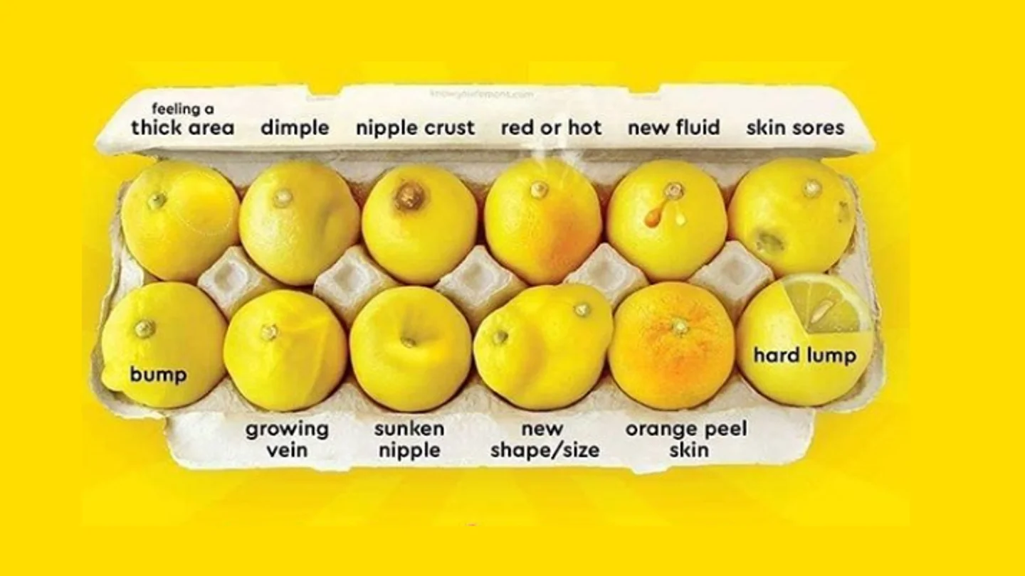 'Conoce tus limones': la guía para identificar las 12 señales visibles del cáncer de mama 'Conoce tus limones': la guía para identificar las 12 señales visibles del cáncer de mama
