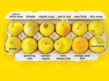 'Conoce tus limones': la guía para identificar las 12 señales visibles del cáncer de mama 'Conoce tus limones': la guía para identificar las 12 señales visibles del cáncer de mama