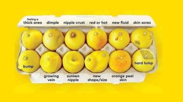 'Conoce tus limones': la guía para identificar las 12 señales visibles del cáncer de mama