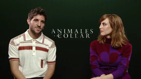 'Animales sin collar' 'Animales sin collar'