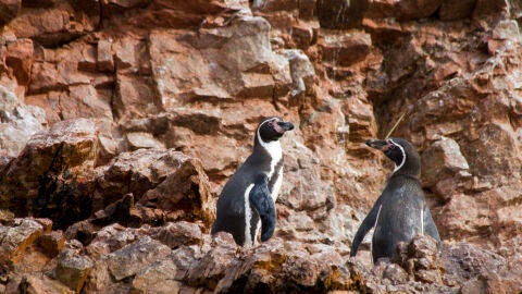 Cinco lugares especiales en Perú que pocos conocen