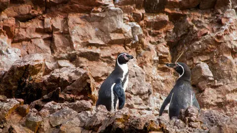 Caleta San José Cinco lugares especiales en Perú que pocos conocen