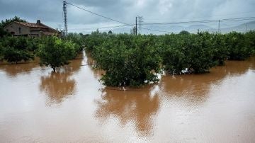 Imagen de terrenos inundados en Alcocéber, Castellón