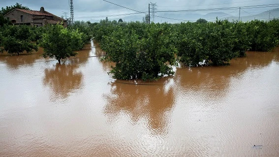 Imagen de terrenos inundados en Alcocéber, Castellón