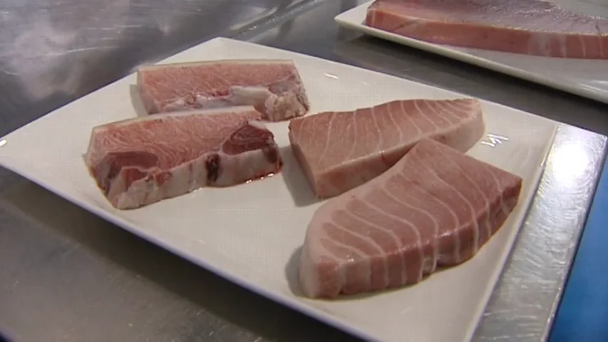 Si el atún rojo es muy barato, sospecha: así es el cerdo ibérico del mar excelente, el de la costa de Cádiz