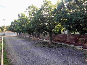 Kiara sigue interna en el centro L'Última Llar al ser de raza peligrosa Kiara sigue interna en el centro L'Última Llar al ser de raza peligrosa