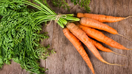 Zanahorias Zanahorias