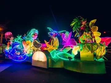Festival de la Luz Festival de la Luz