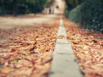 Otoño en Madrid Otoño en Madrid