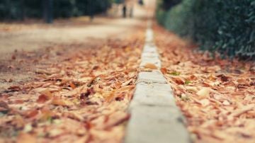 Otoño en Madrid