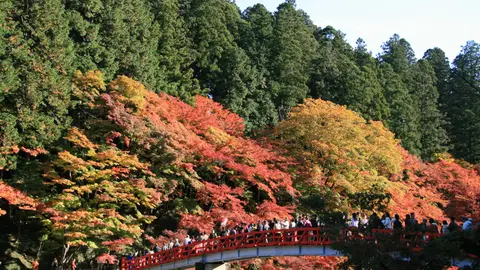 Garganta Korankei La belleza roja del otoño en Japón