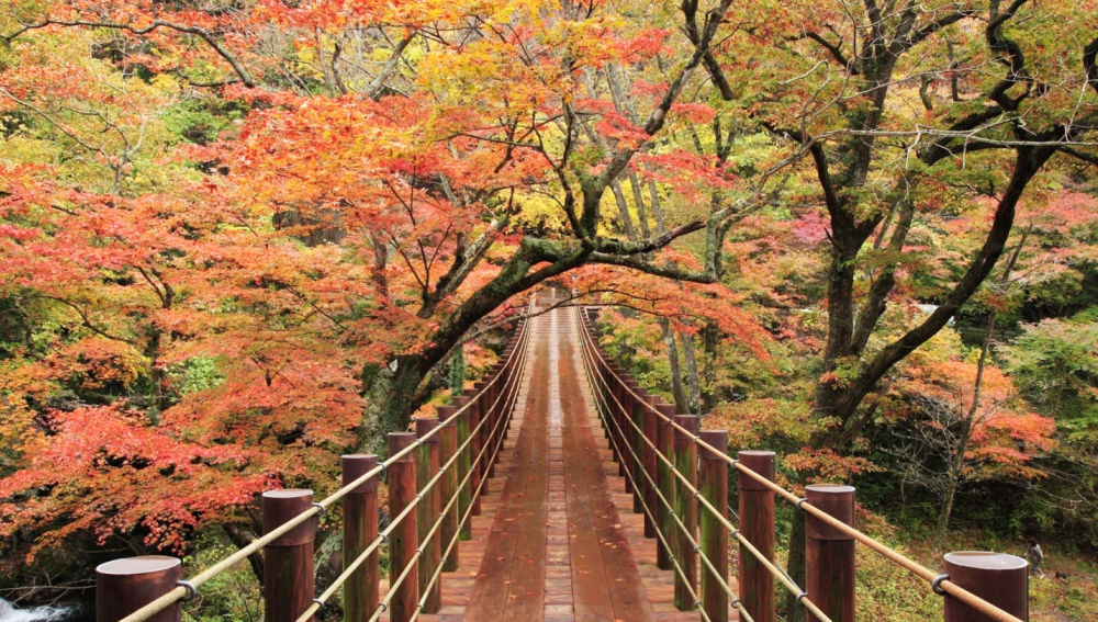 Hananuki Gorge ©Ibaraki Prefecture©JNTO.jpg